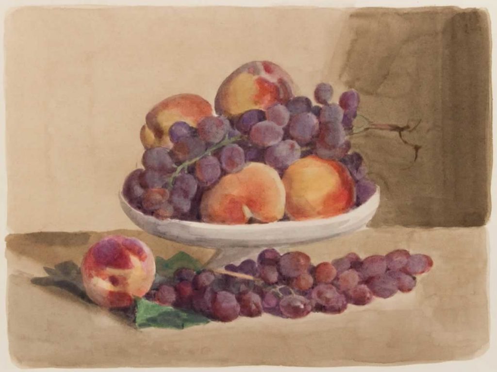 Italo : Pêches et raisins