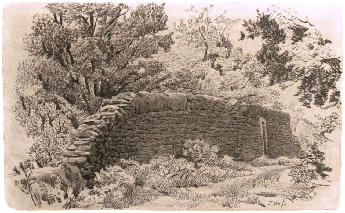 Italo : Le mur dans la forêt