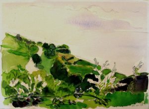 W Gimmi : Lavaux