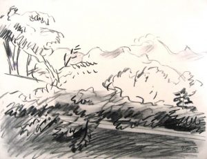 W Gimmi : Paysage