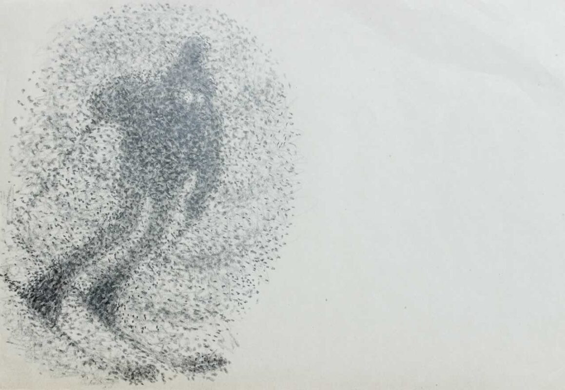 Casimir Reymond : Skieur dans le brouillard