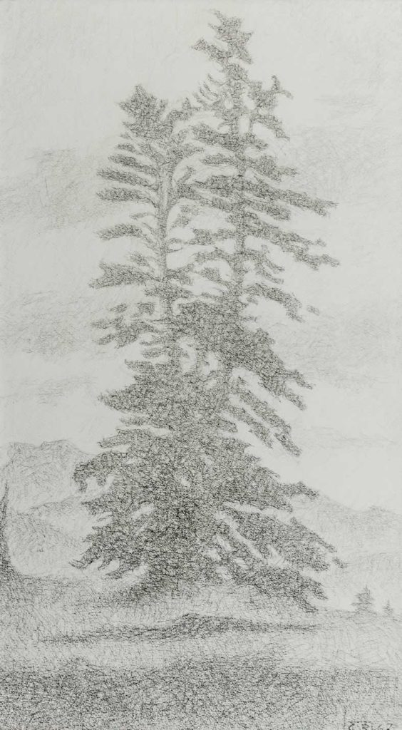 Casimir Reymond : Sapin