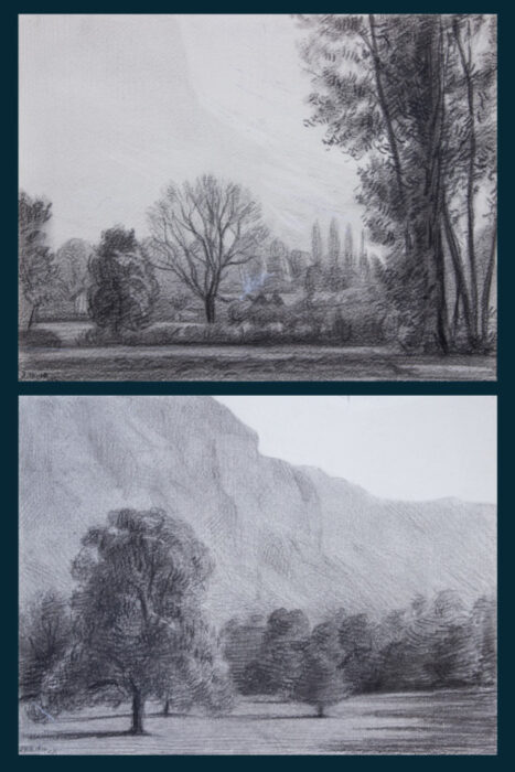 Casimir Reymond : Arbres en plaine