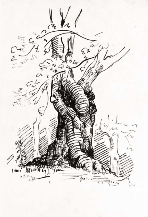 Casimir Reymond : Étude d'arbre et de feuillage