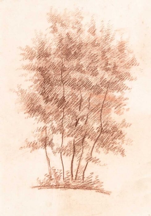 Casimir Reymond : Groupe d'arbres