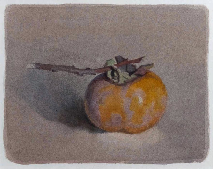 Italo De Grandi : Kaki et son ombre