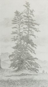 Casimir Reymond : Sapin