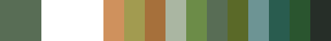 Palettes_CR_095_Bengnins-fleur Casimir Reymond : Palette Begnins, Fleurs