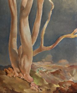 R.-Th. Bosshard : Arbre