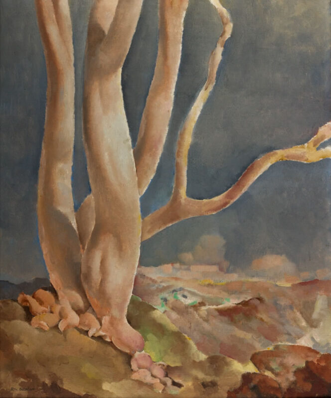 R.-Th. Bosshard : Arbre