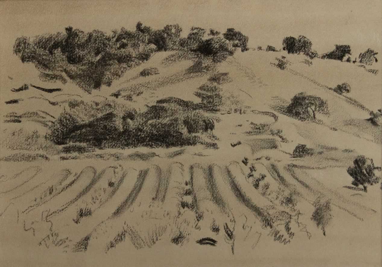 Italo De Grandi : Campagne