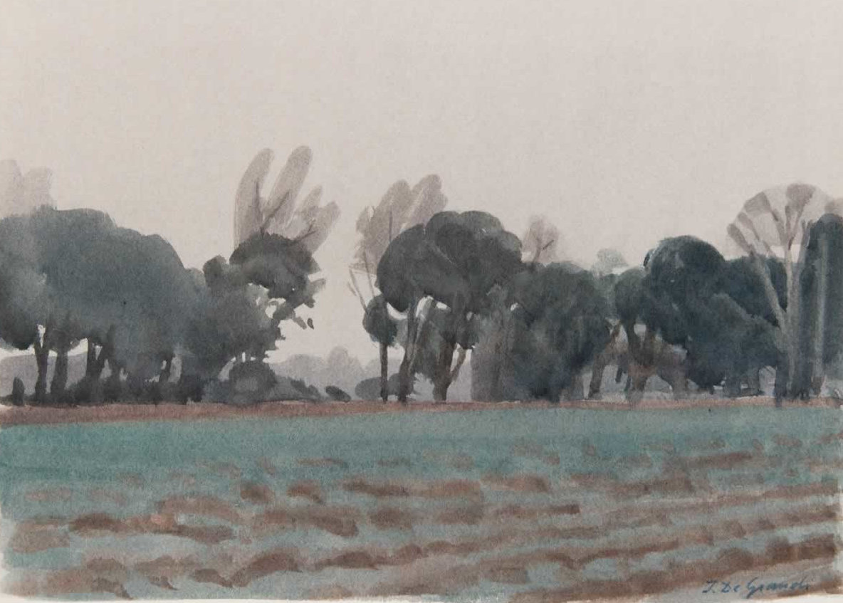 Italo De Grandi : Champs de lavandes en hiver